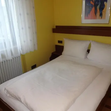 Hotel Ricci 3*