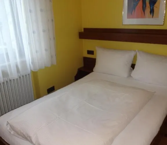 Hotel Ricci 3*